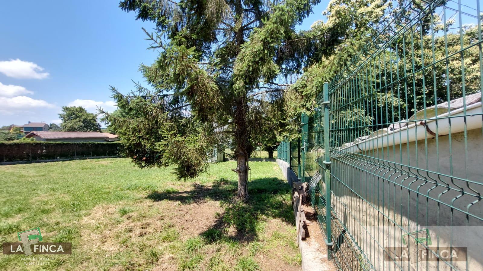 For sale of land in Llanera