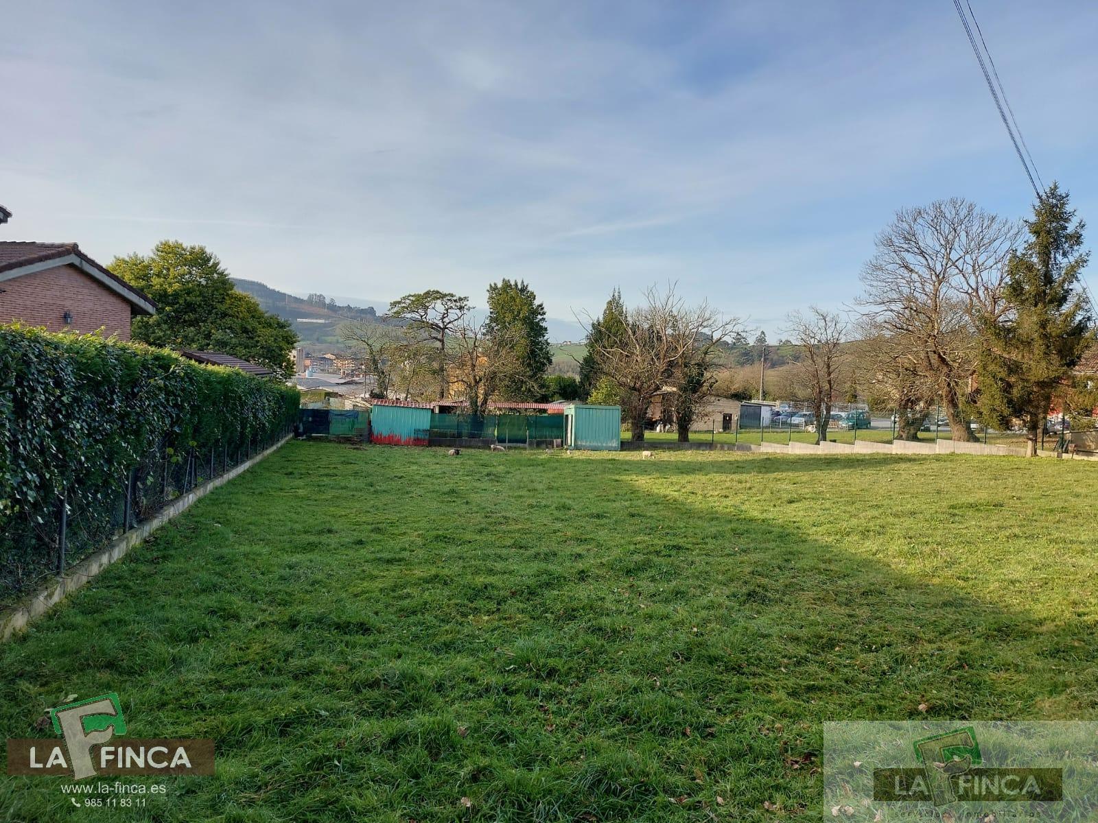 For sale of land in Llanera