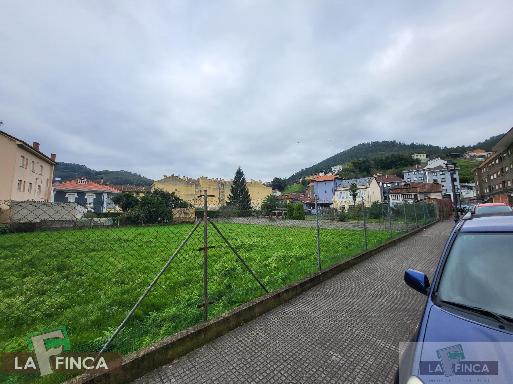 For sale of land in Salas