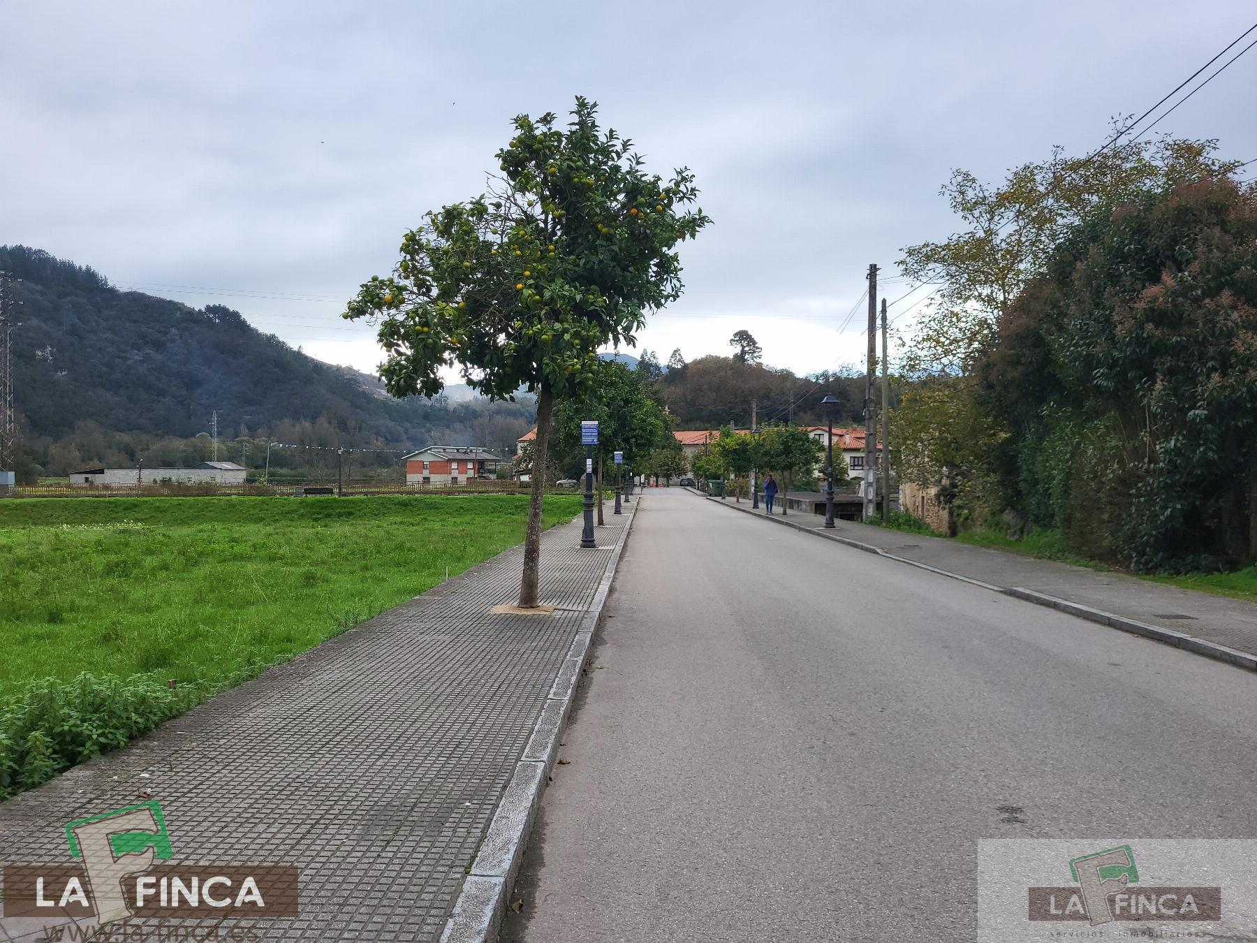 For sale of land in Salas
