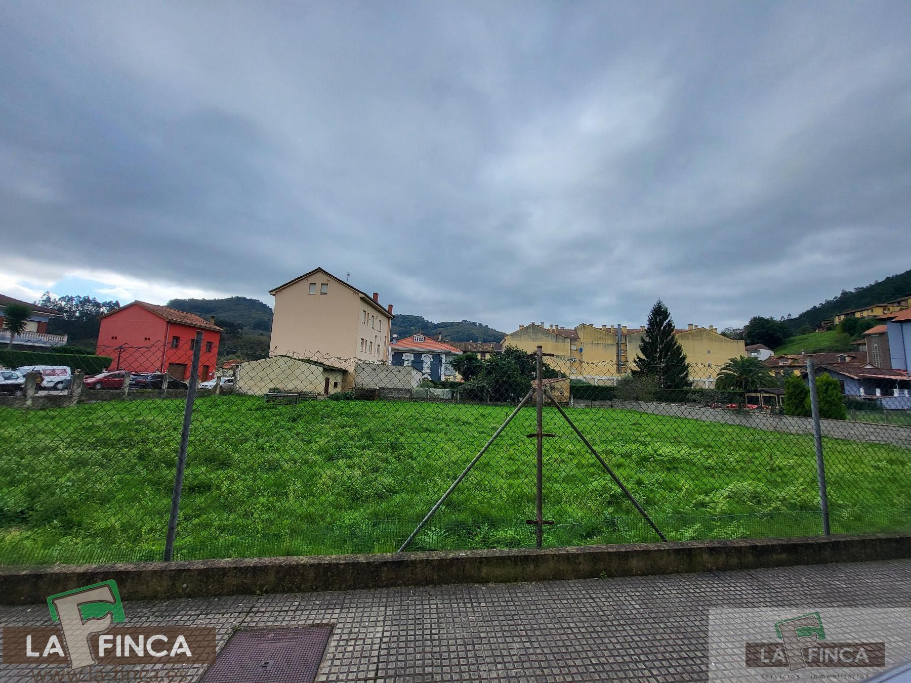 For sale of land in Salas