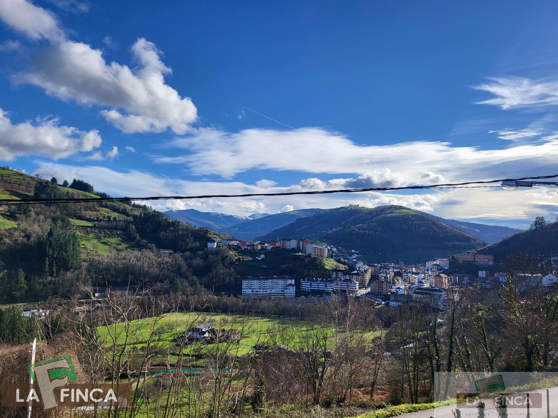 For sale of house in Cangas del Narcea