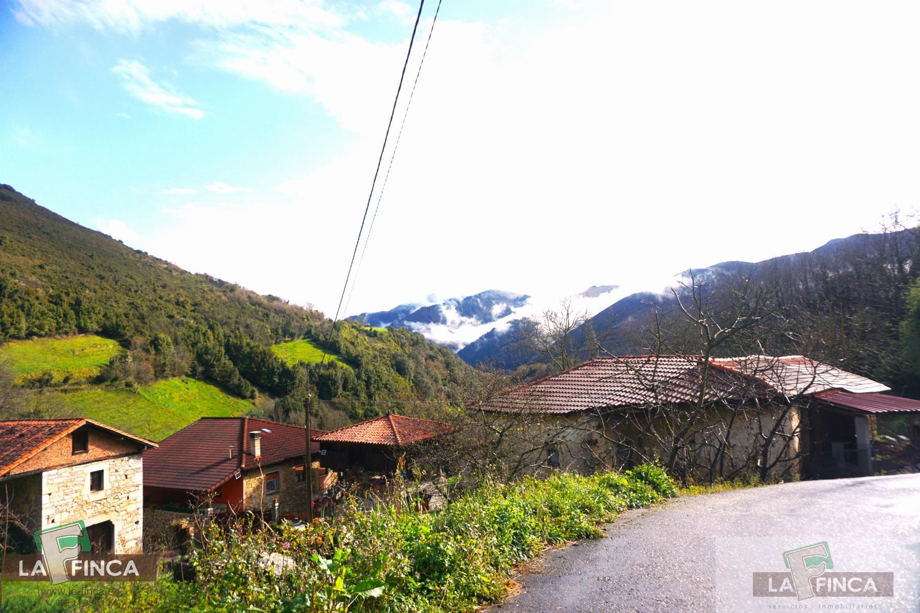 For sale of house in Belmonte de Miranda