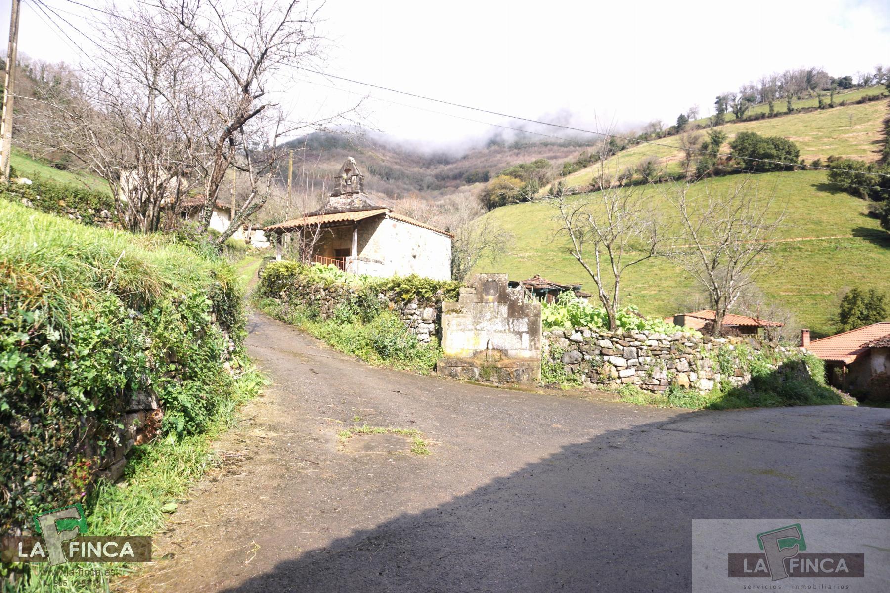 For sale of house in Belmonte de Miranda
