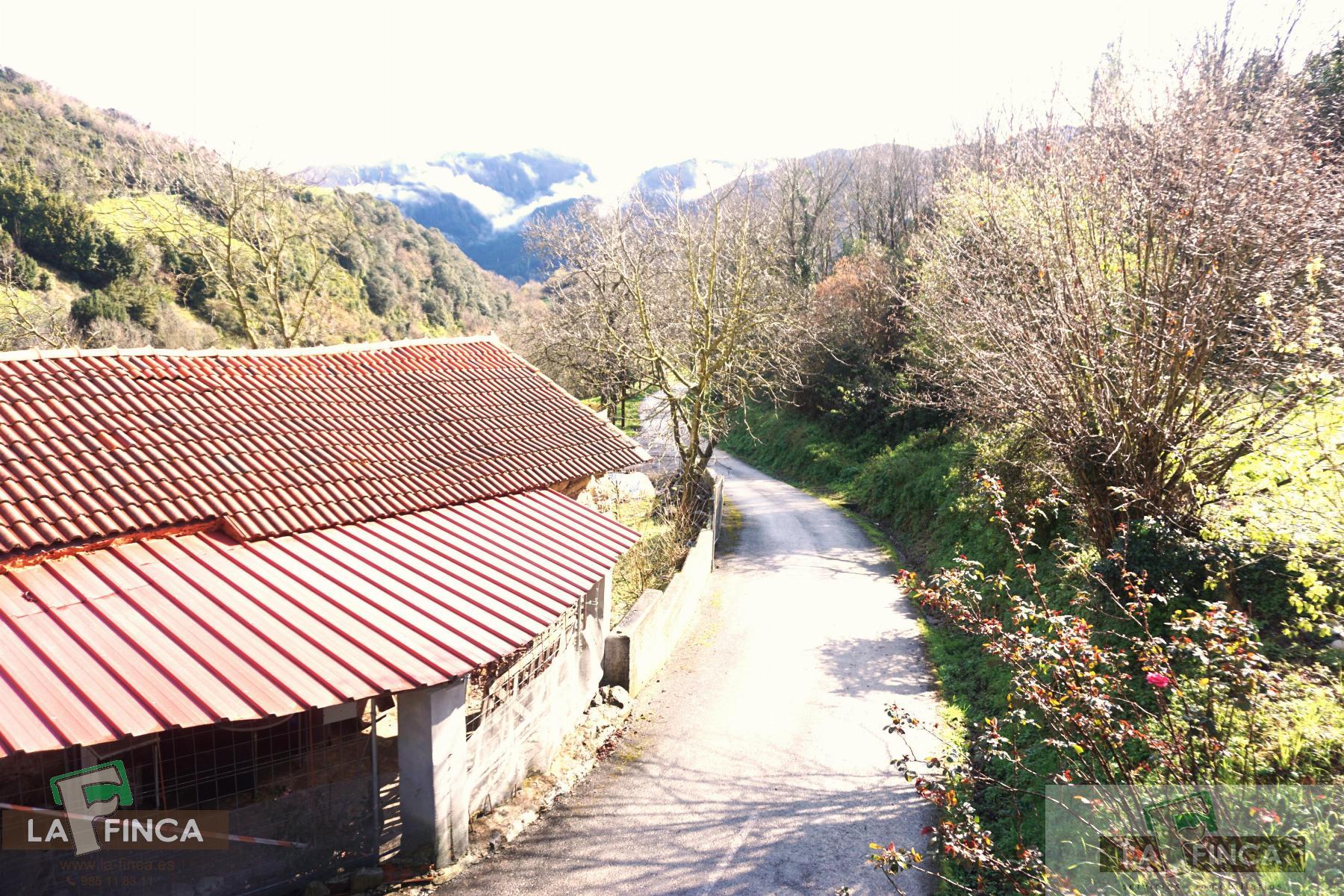For sale of house in Belmonte de Miranda