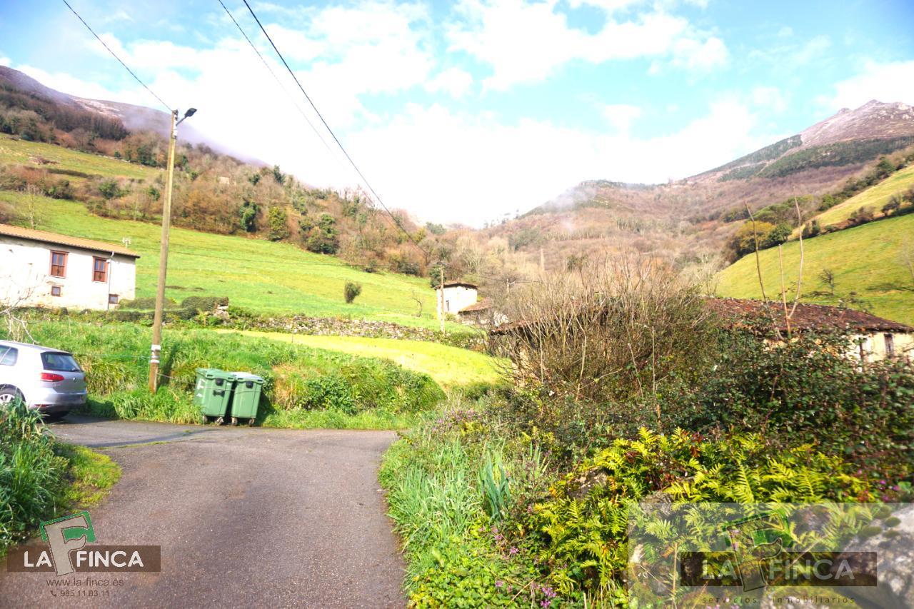 For sale of house in Belmonte de Miranda