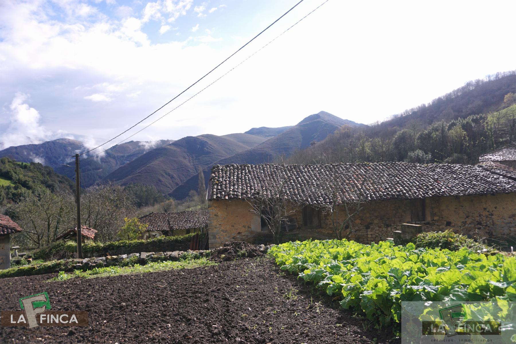 For sale of house in Belmonte de Miranda