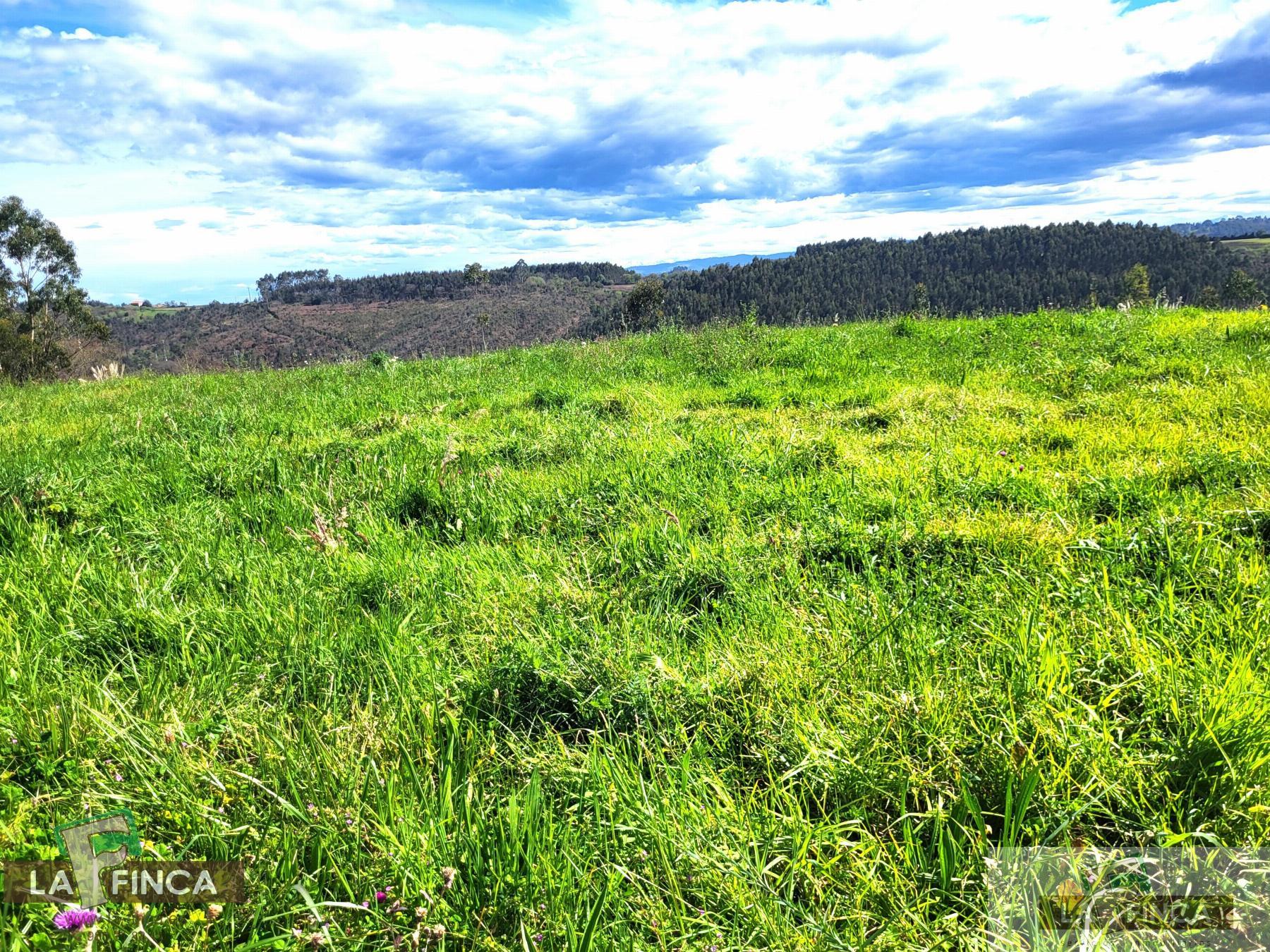 For sale of land in Candás
