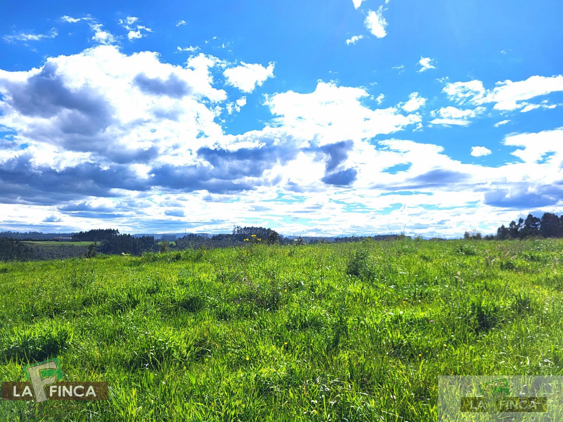 For sale of land in Candás