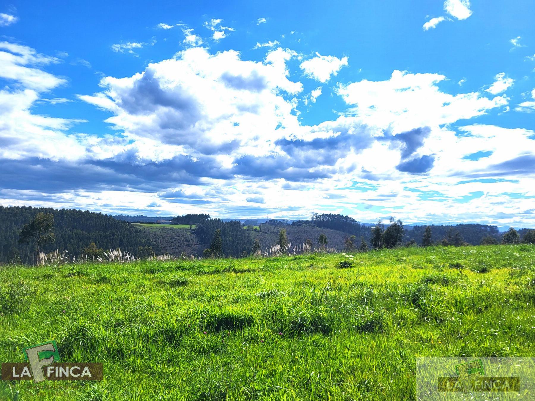 For sale of land in Candás