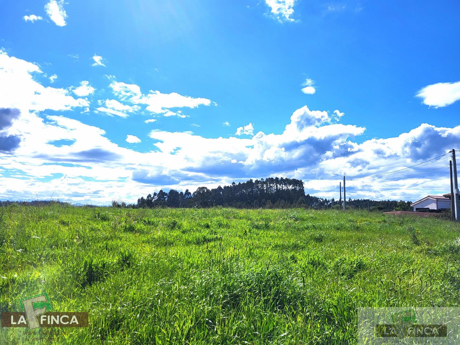 For sale of land in Candás