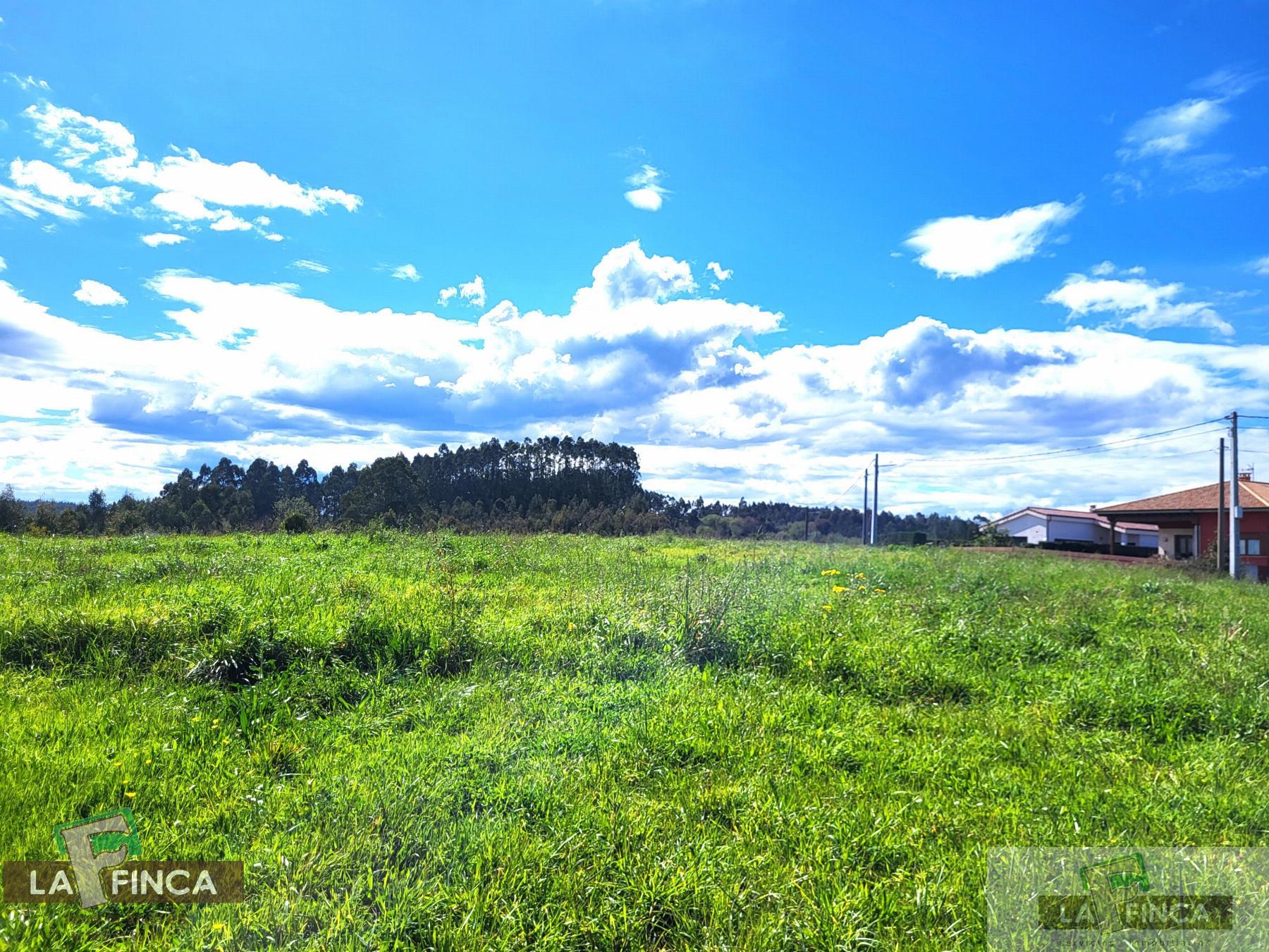For sale of land in Candás