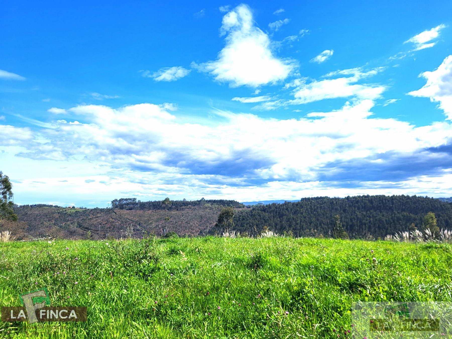 For sale of land in Candás