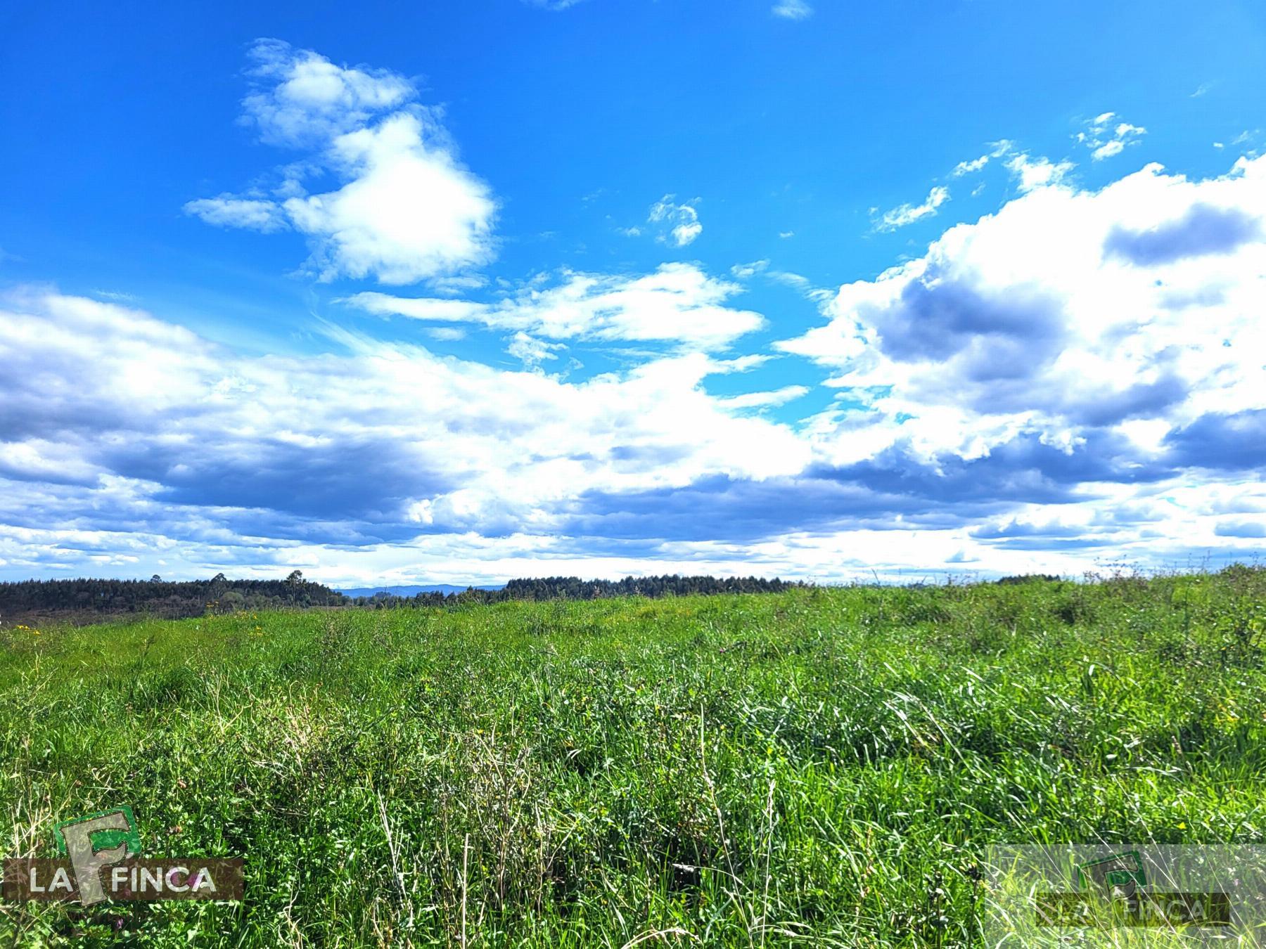 For sale of land in Candás