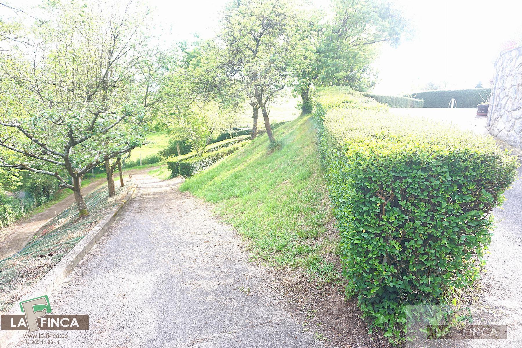 For sale of chalet in Siero