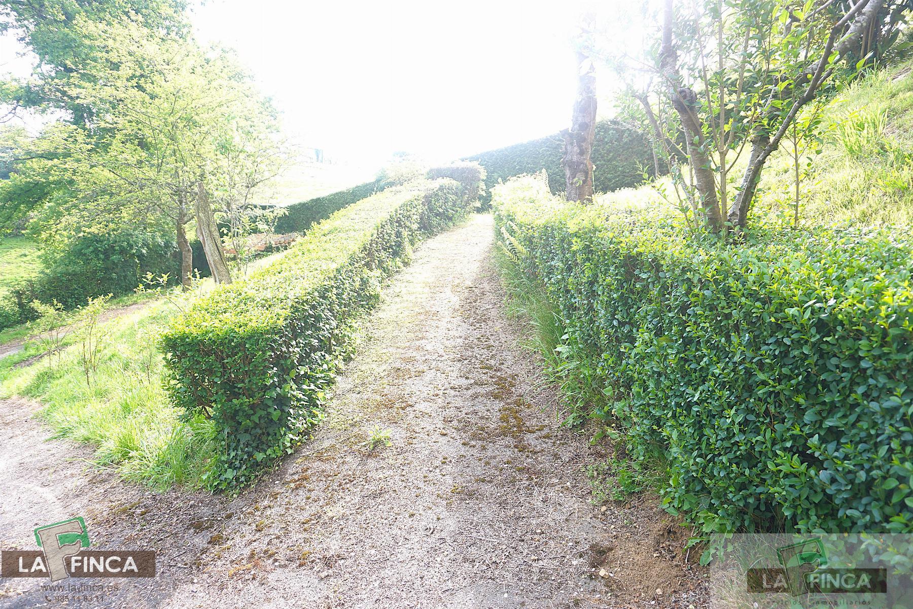 For sale of chalet in Siero