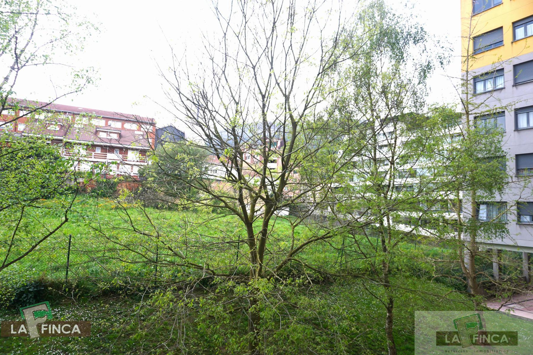 For sale of flat in Oviedo