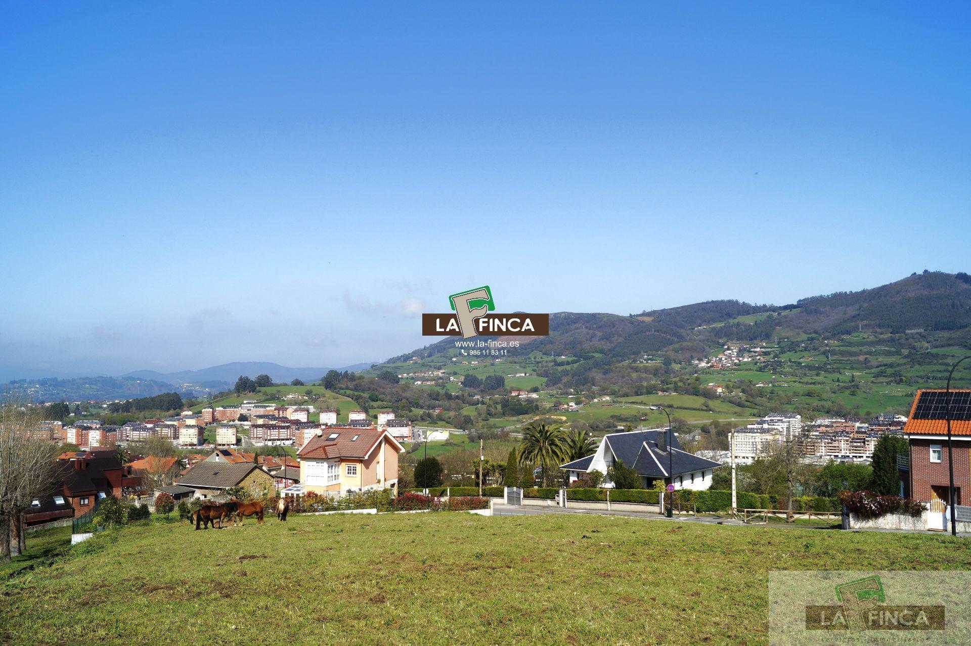 For sale of land in Oviedo