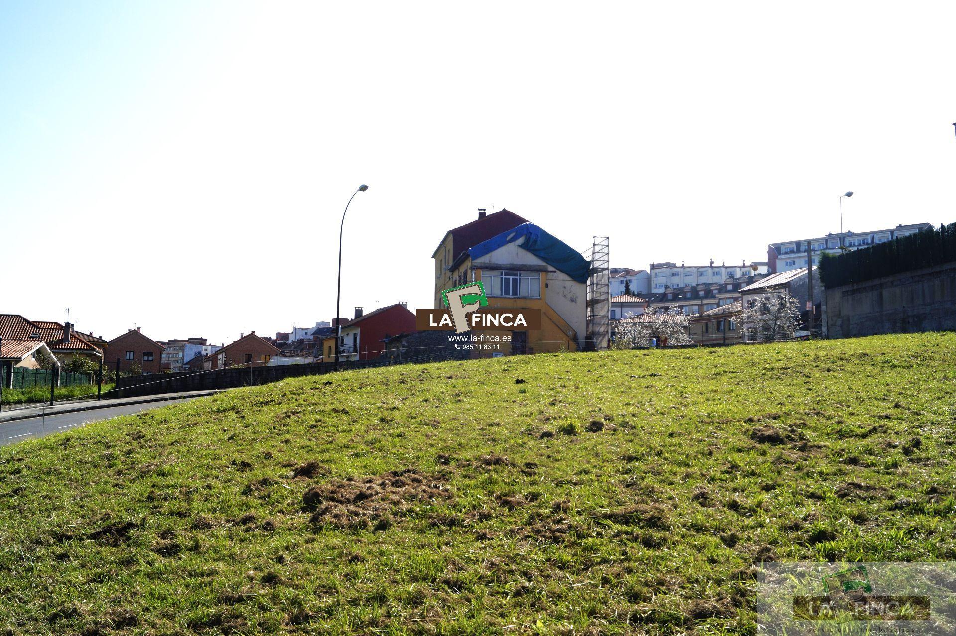 For sale of land in Oviedo