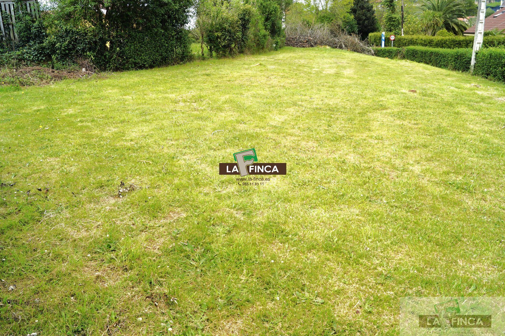 For sale of land in Latores