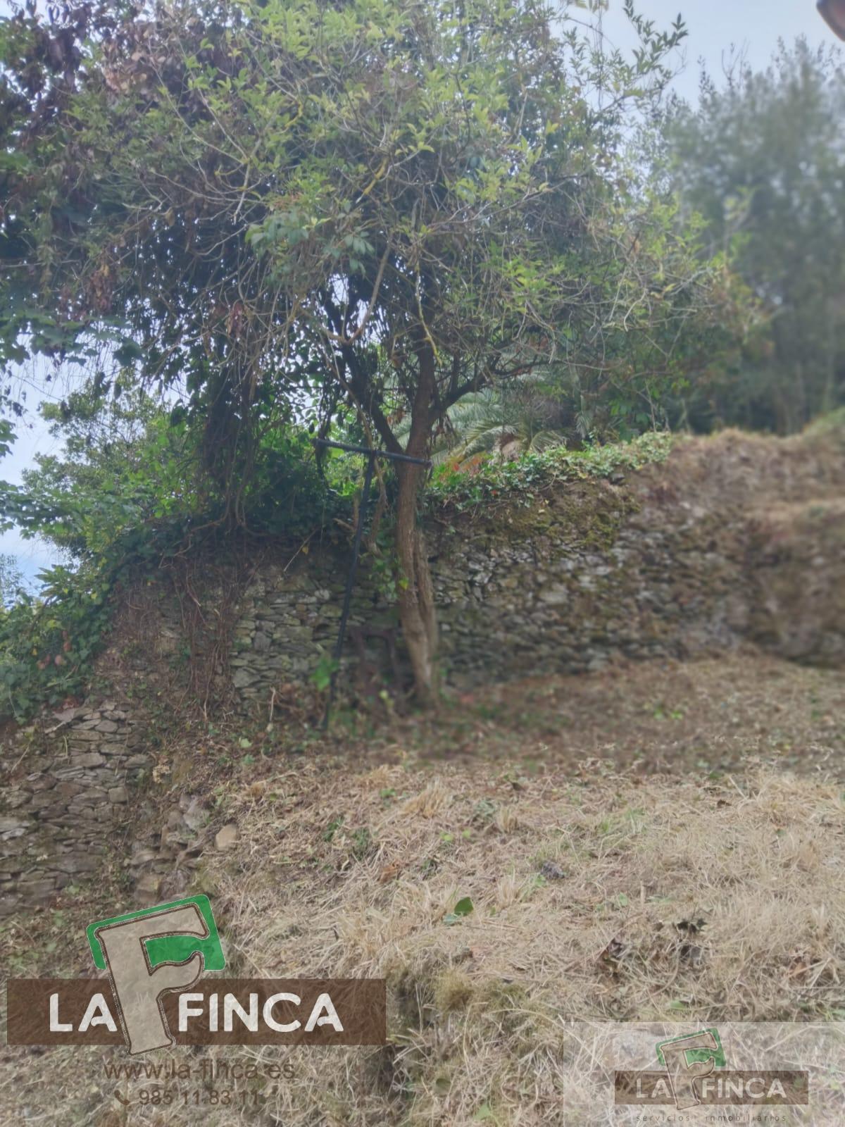 For sale of flat in Cudillero Concejo