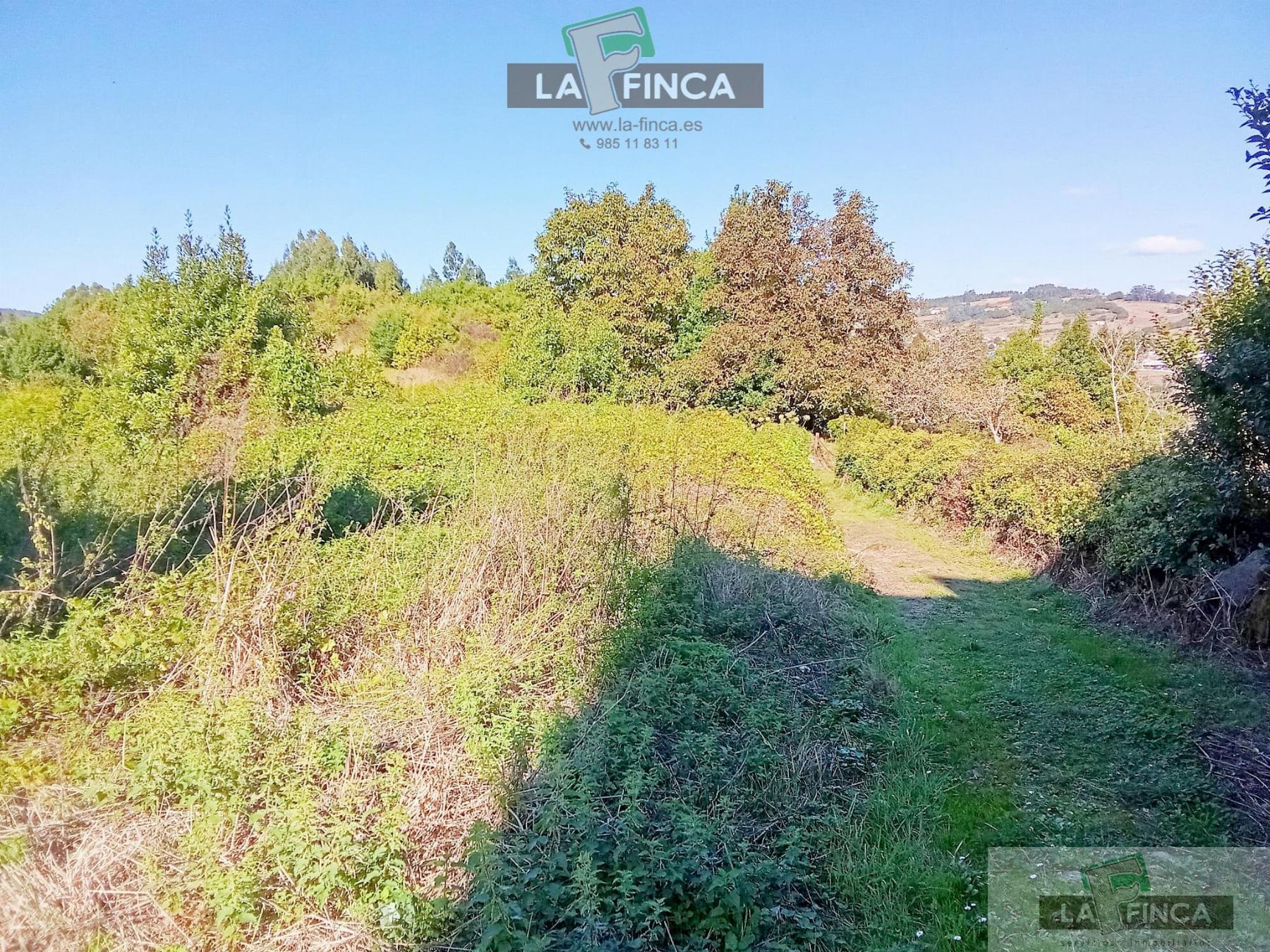Venta de finca rústica en Pravia