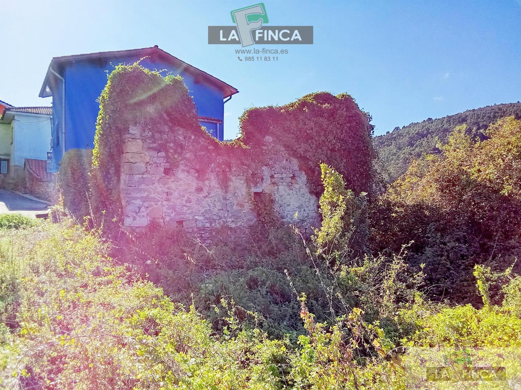 Venta de finca rústica en Pravia