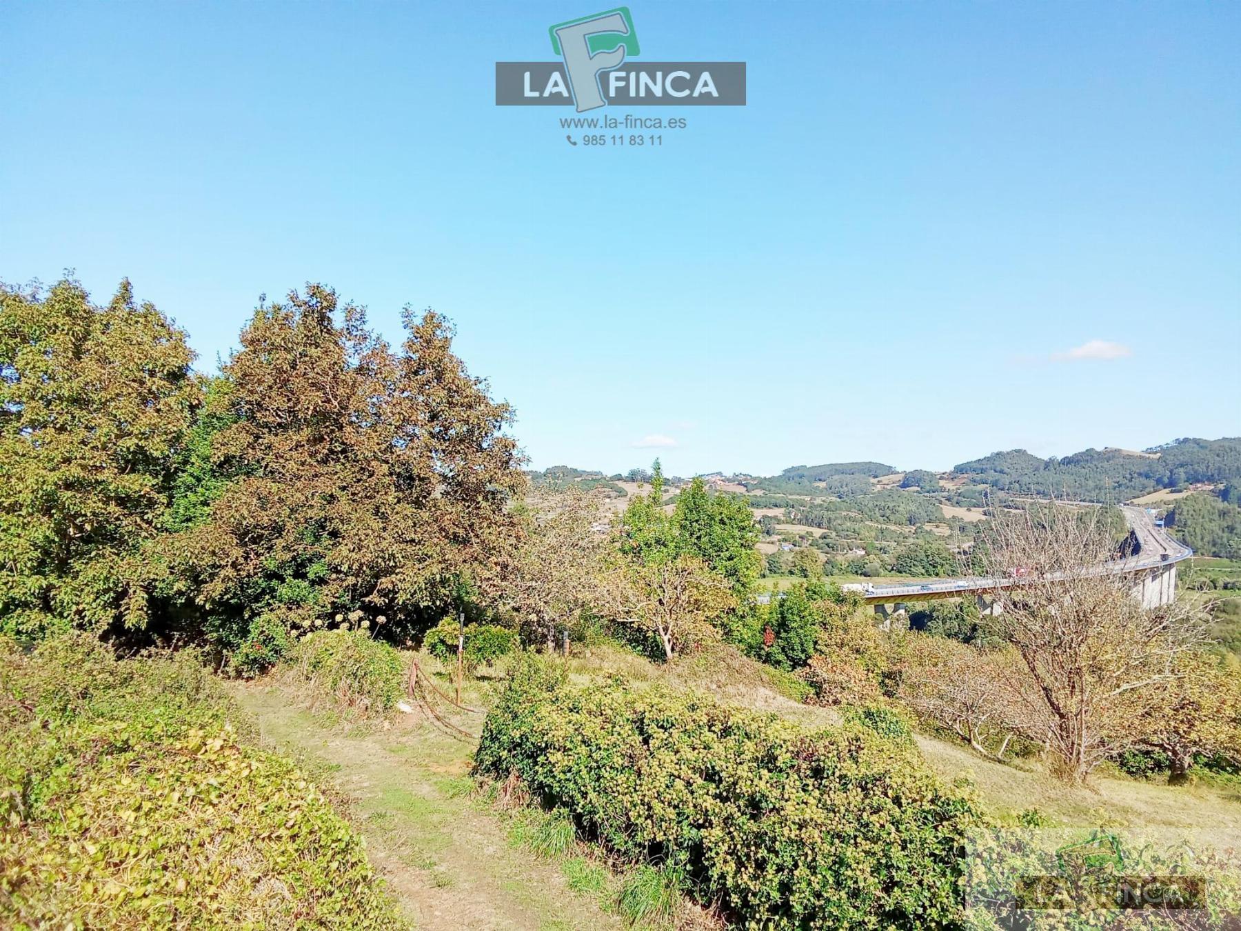 Venta de finca rústica en Pravia