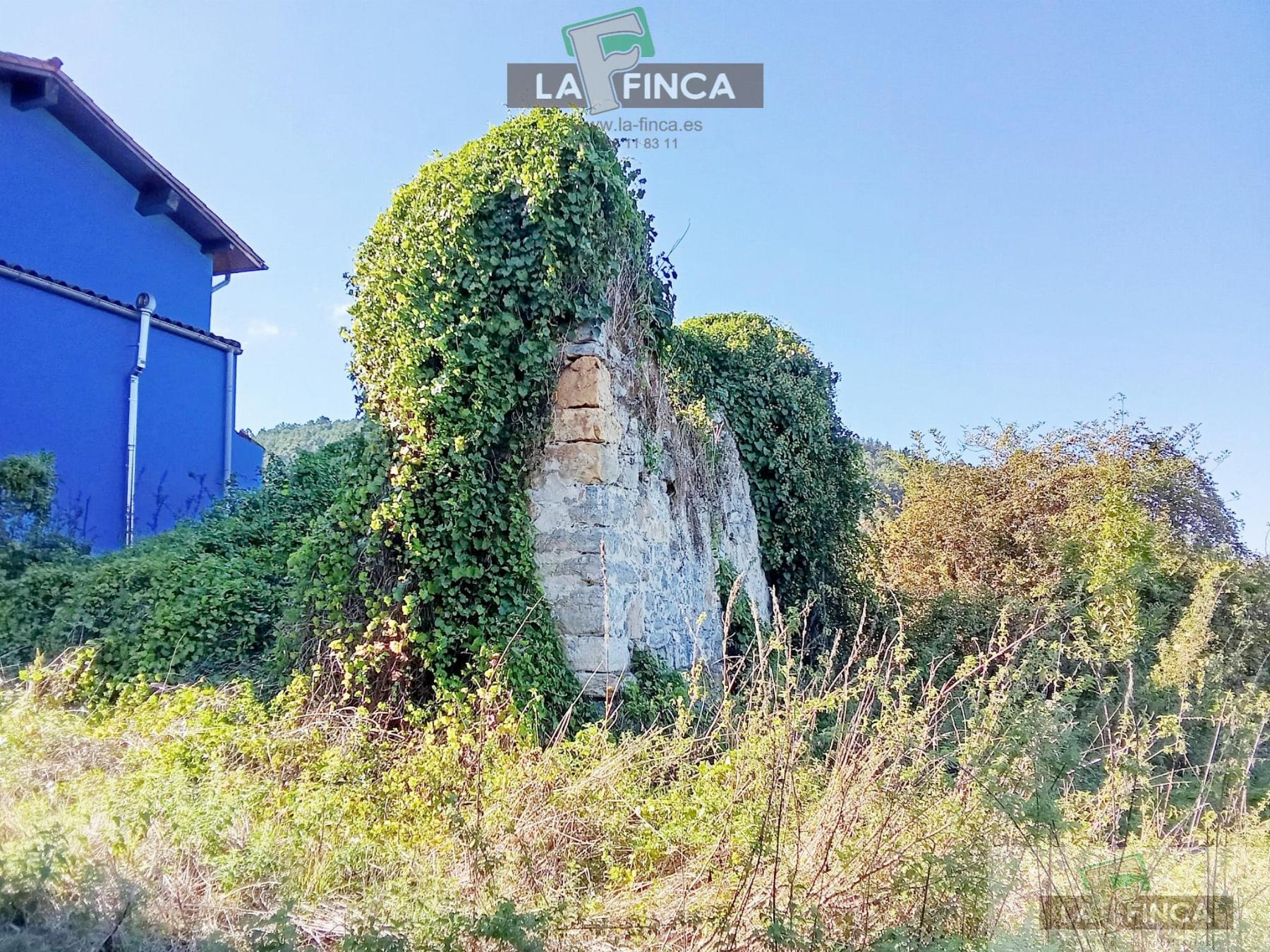 Venta de finca rústica en Pravia