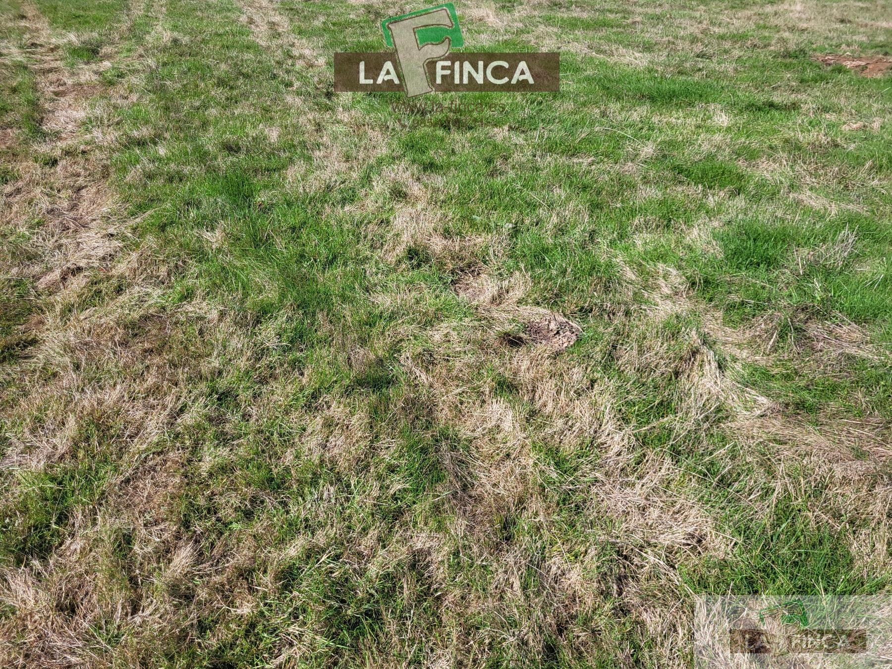 Venta de terreno en Llanera