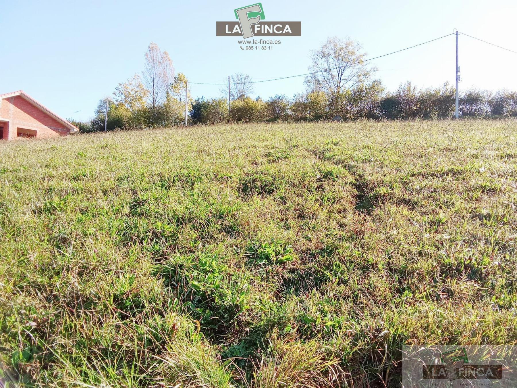 Venta de terreno en Morcín