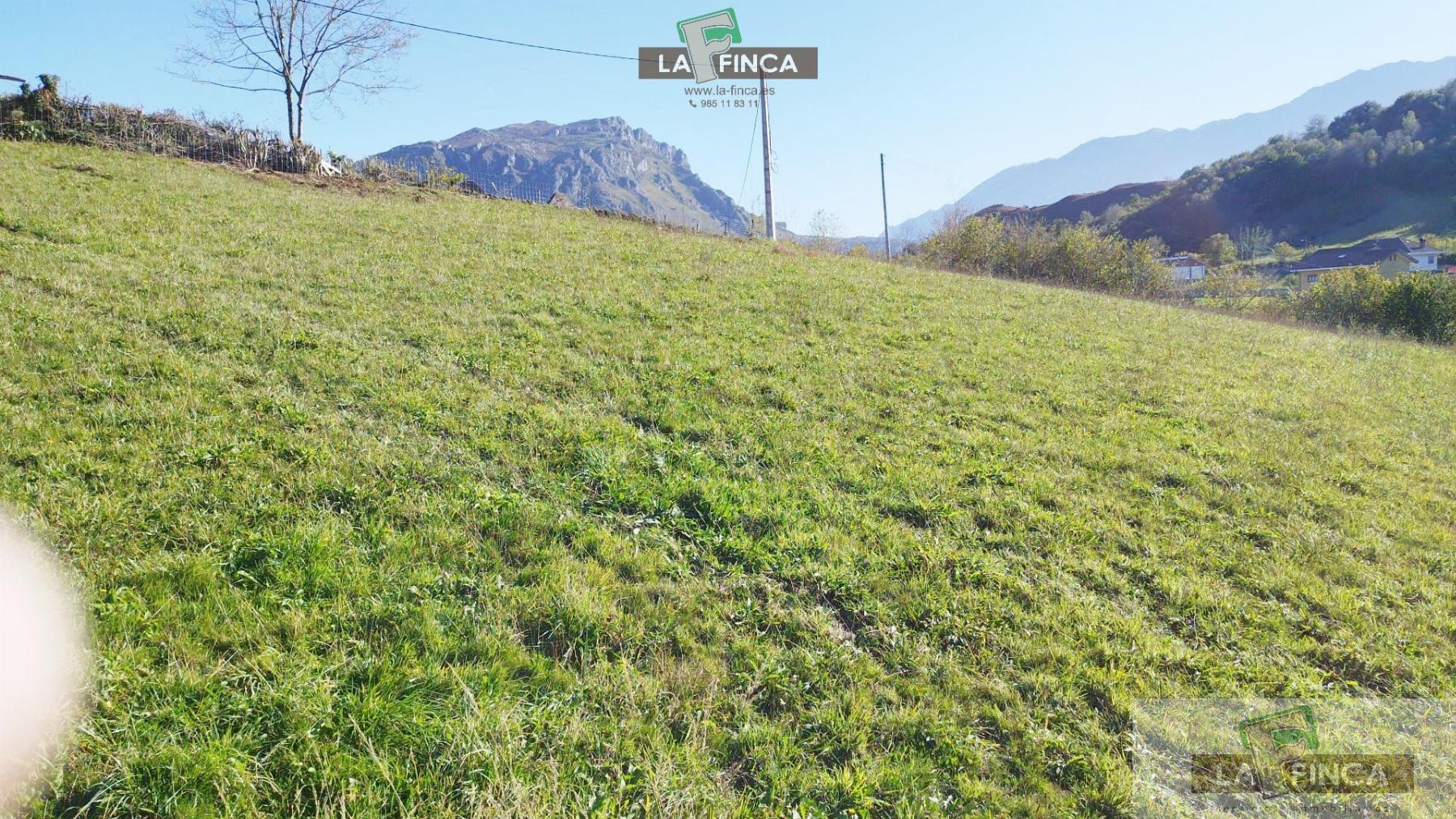 Venta de terreno en Morcín