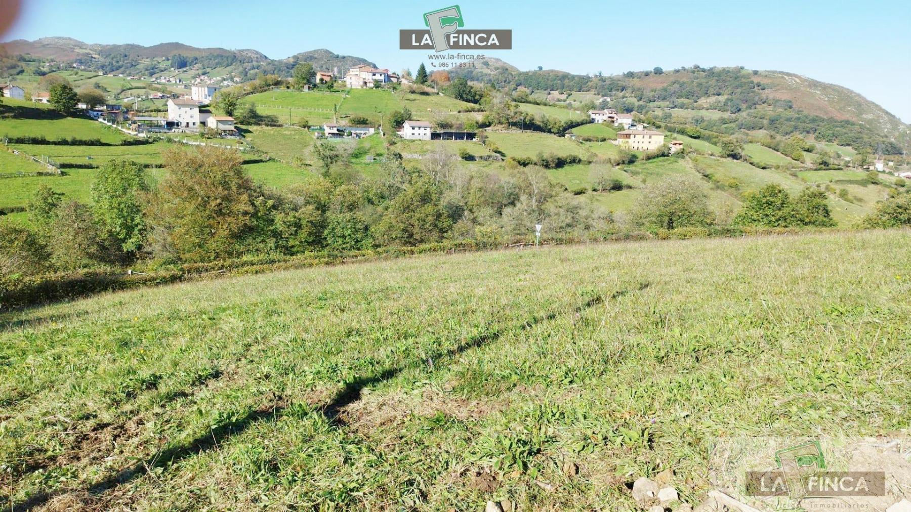 Venta de terreno en Morcín