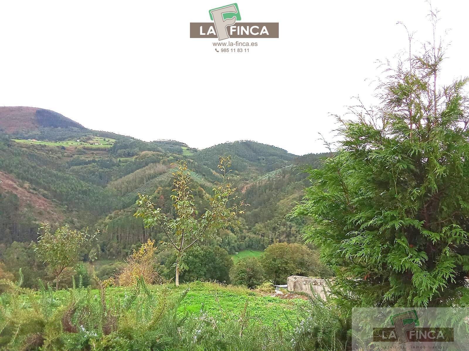 Venta de casa en Pravia