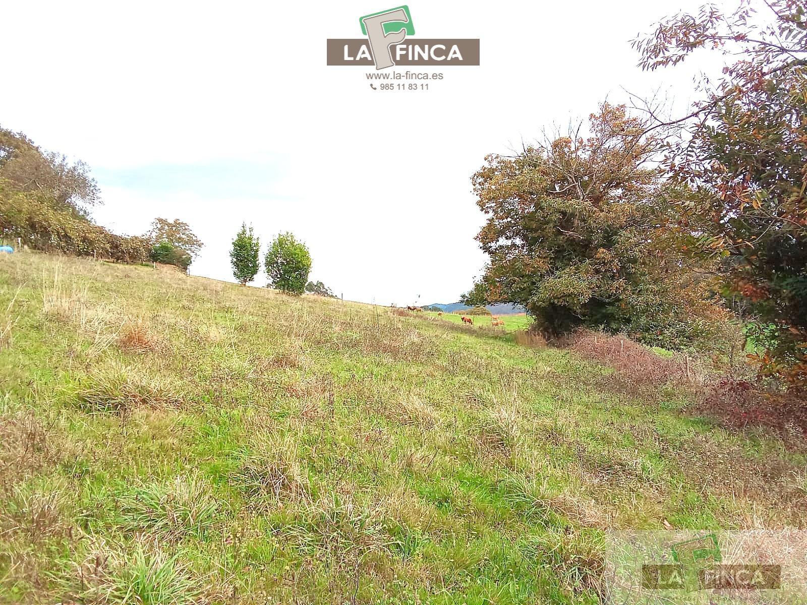 Venta de casa en Pravia