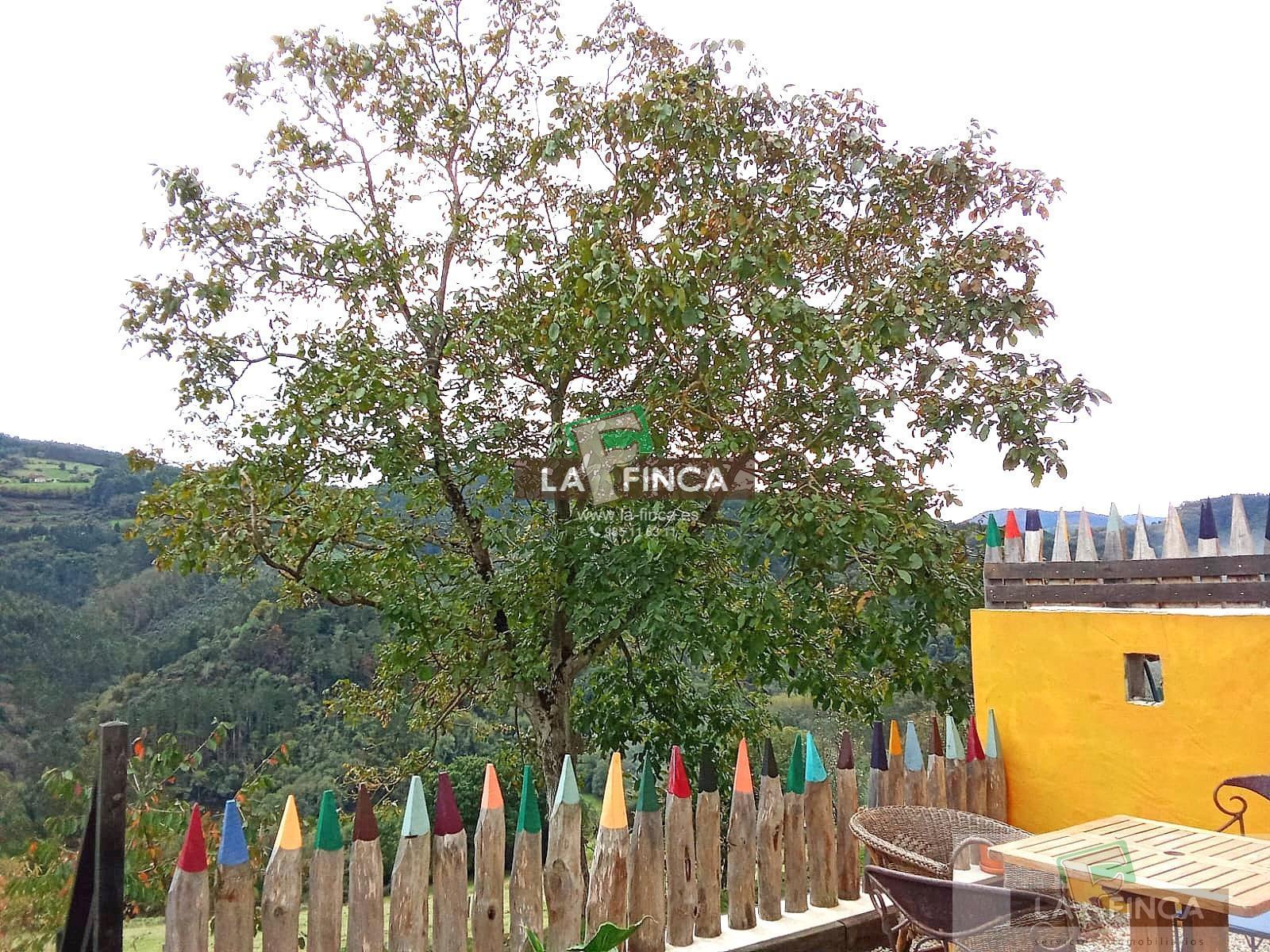 Venta de casa en Pravia