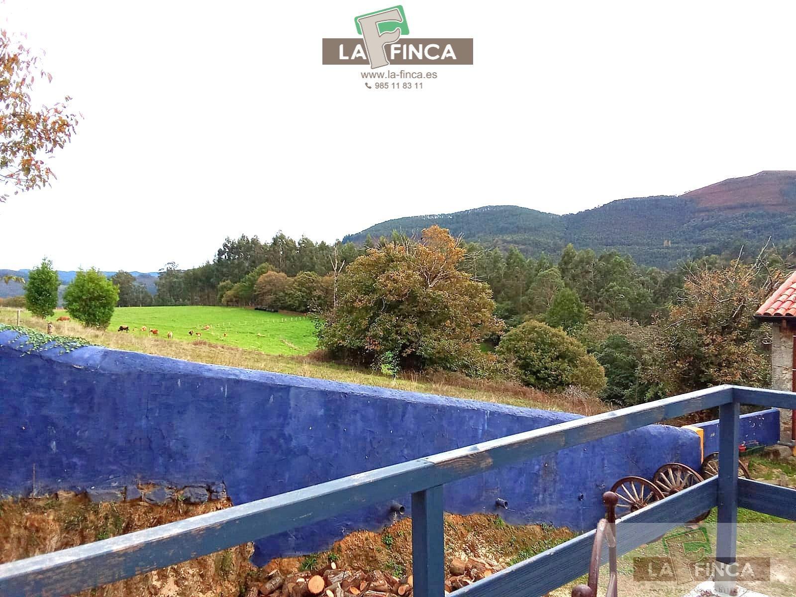 Venta de casa en Pravia