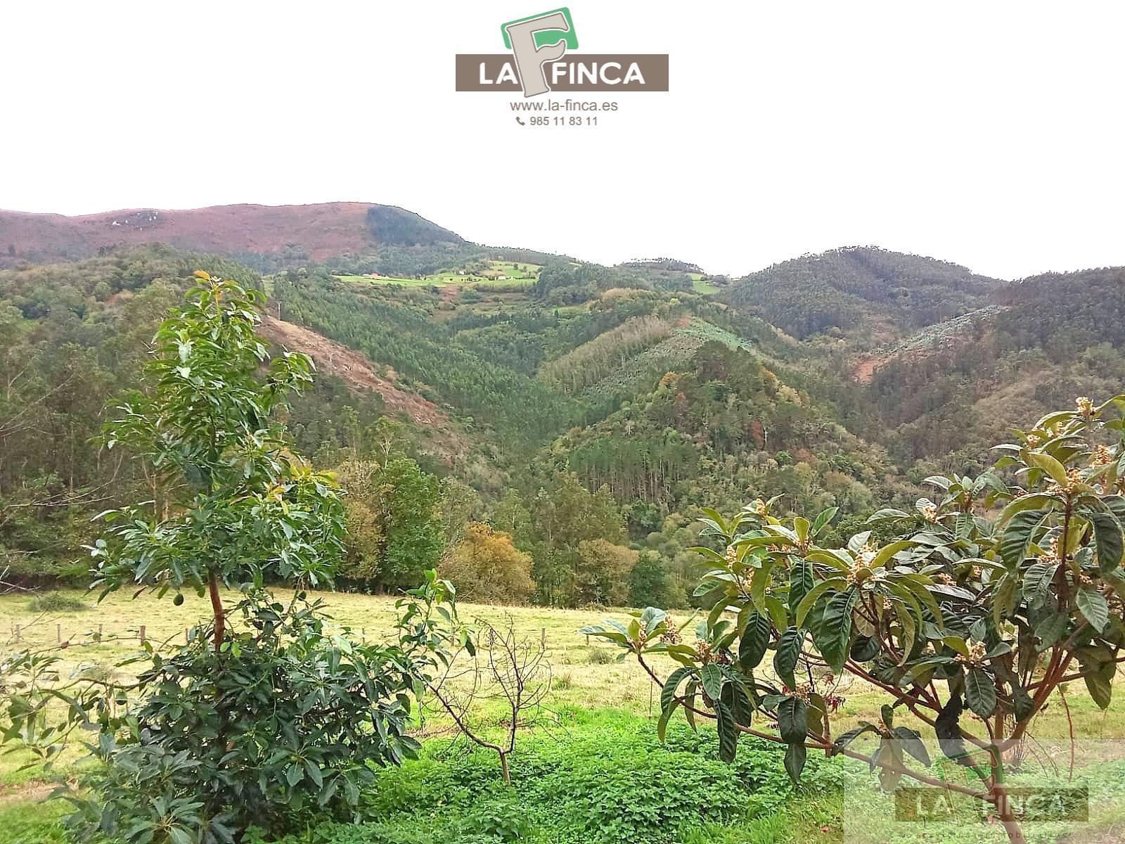 Venta de casa en Pravia