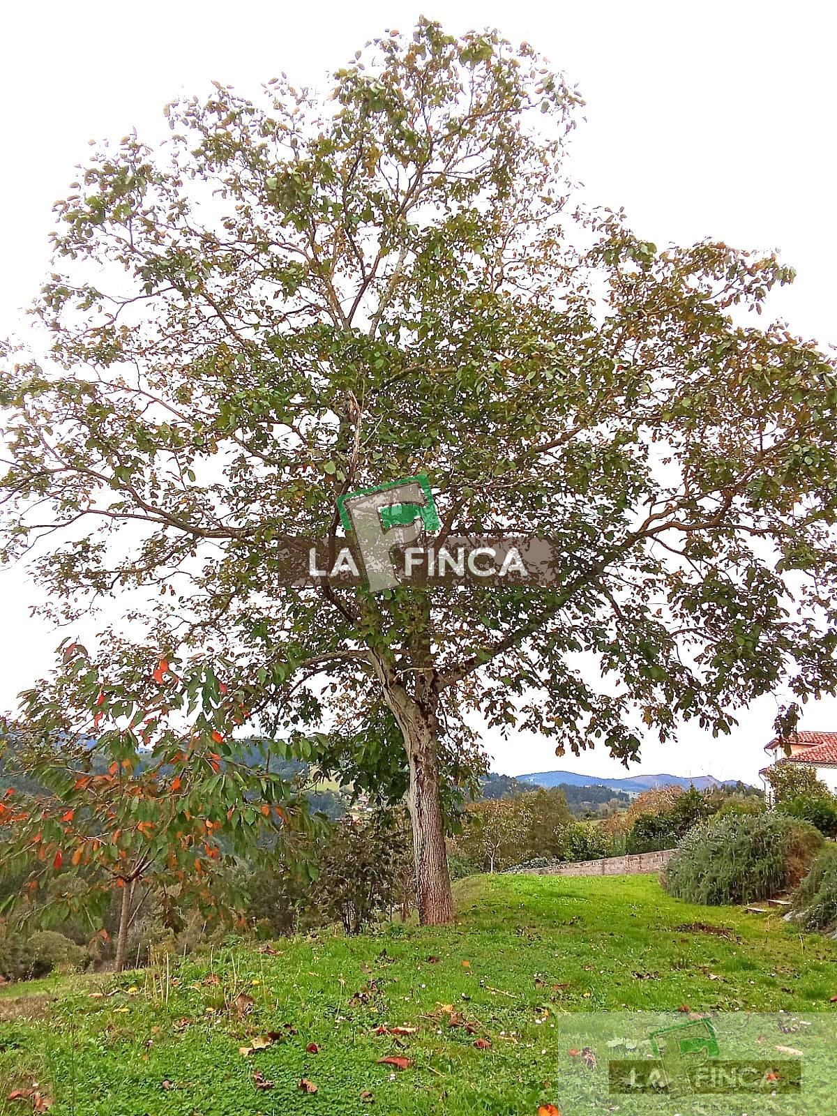 Venta de casa en Pravia