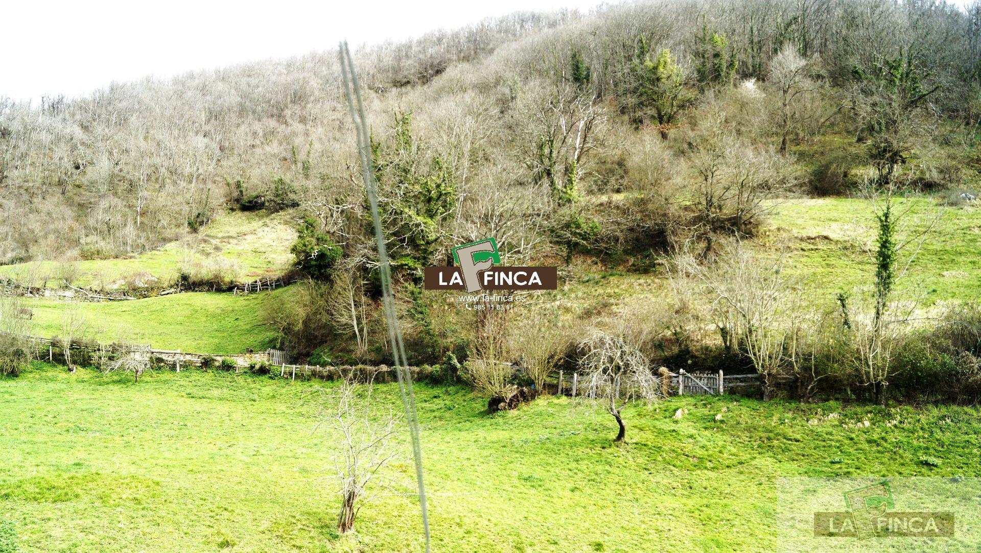 Venta de piso en Quirós