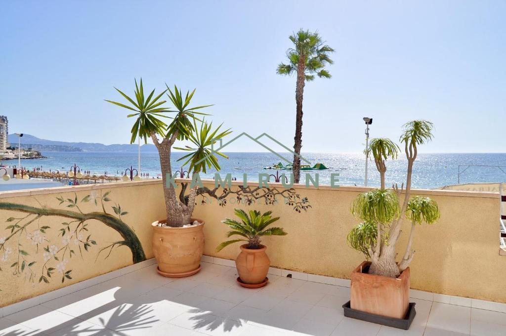 Alquiler de apartamento en Calpe