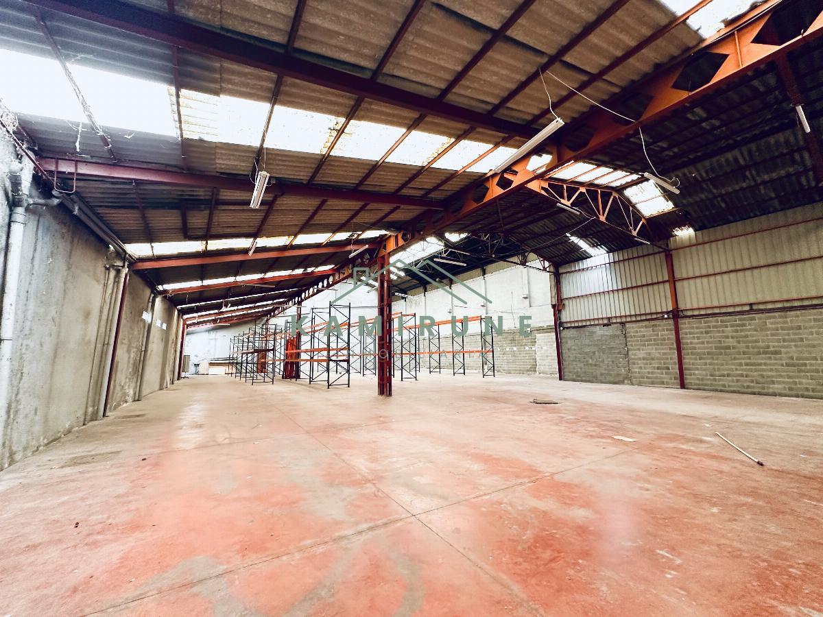 For rent of industrial plant/warehouse in Bilbao