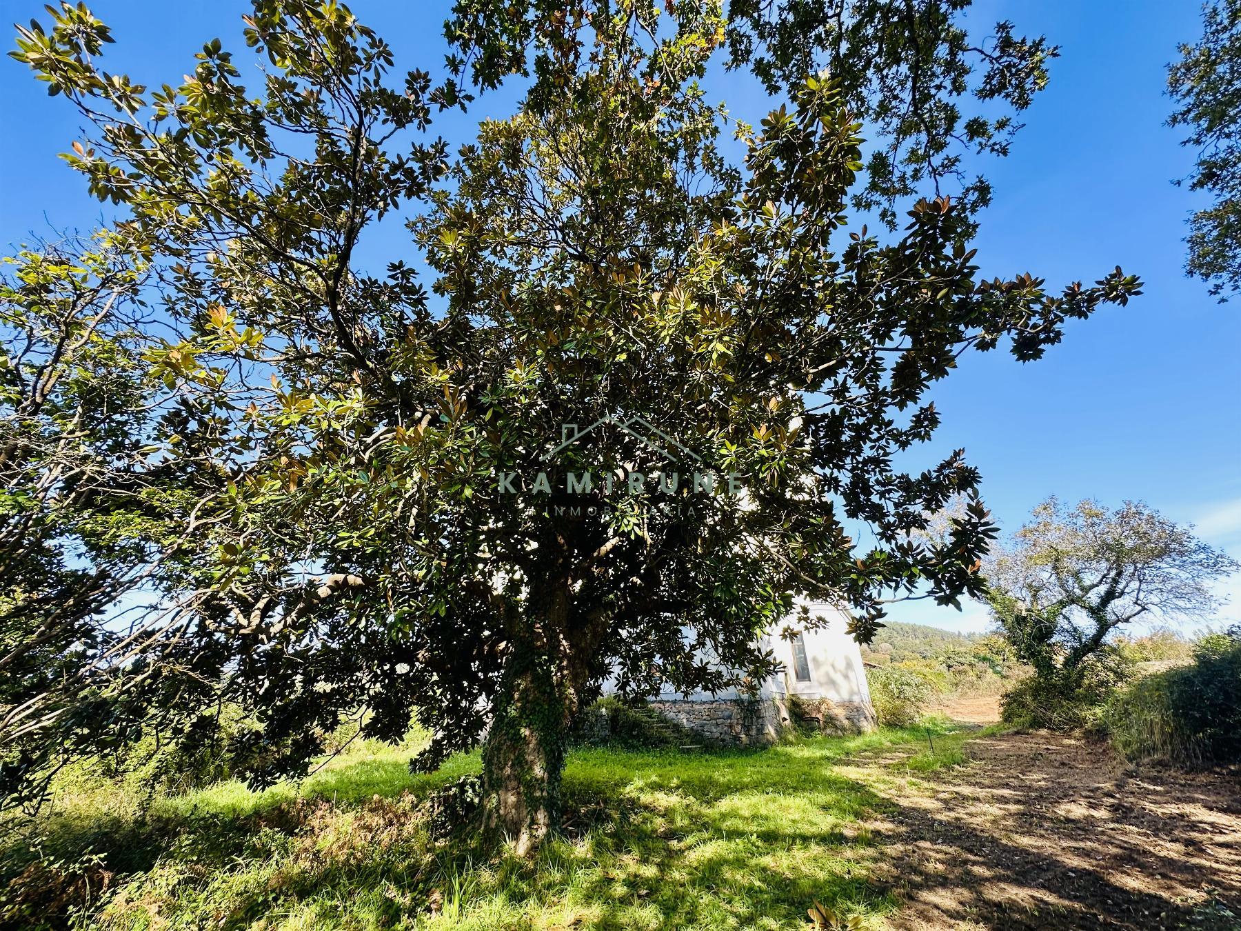 For sale of building in Mungia