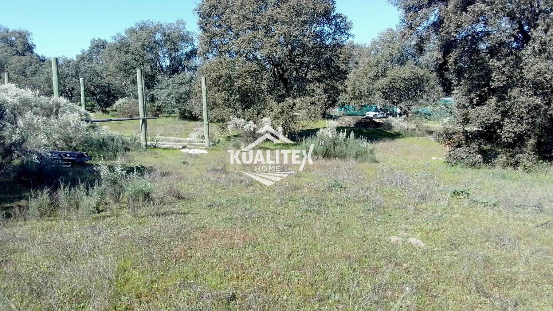 Vente de terrain dans Torreorgaz