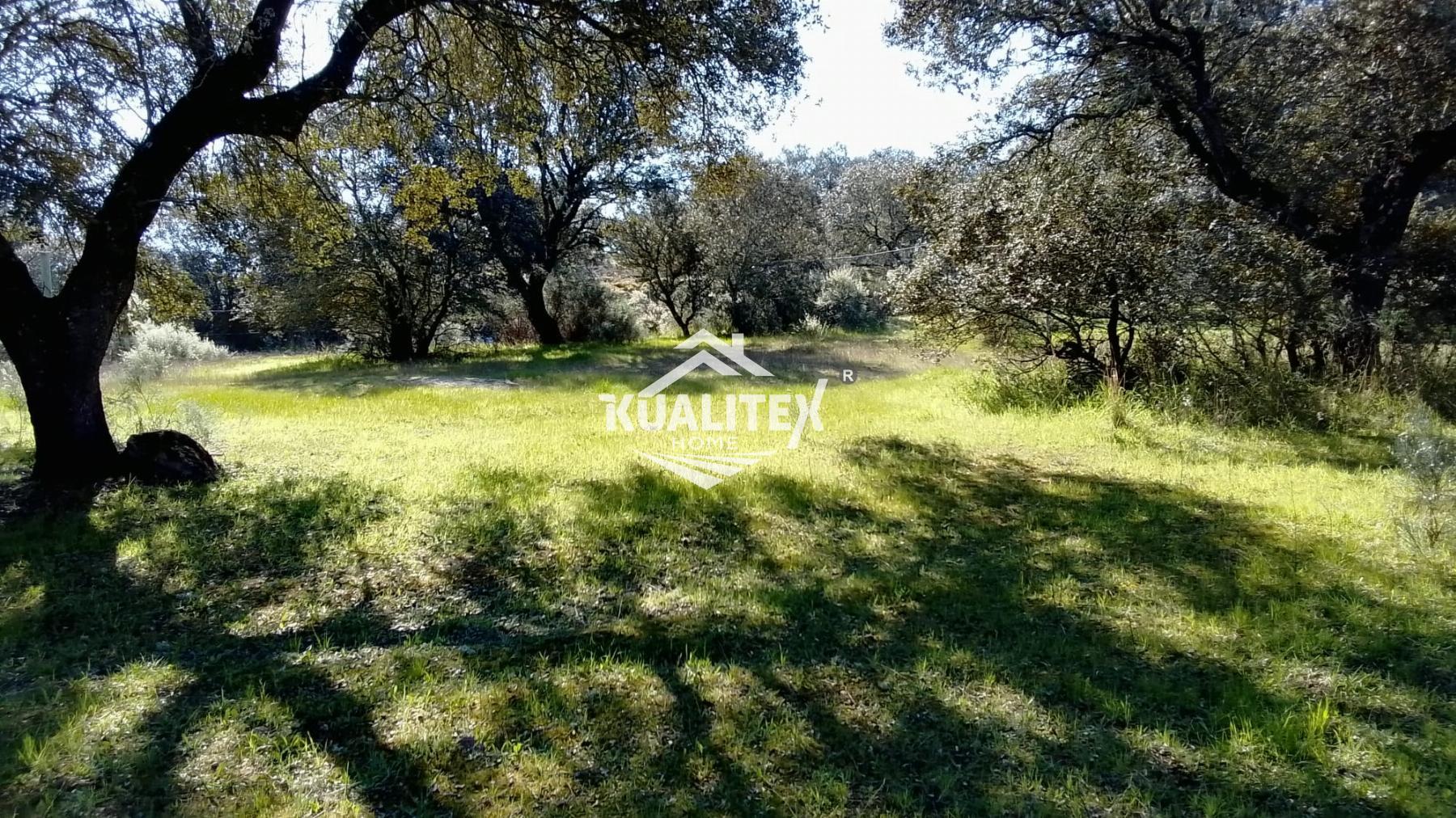 Vente de terrain dans Torreorgaz