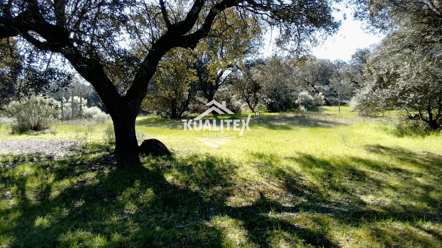 Vente de terrain dans Torreorgaz