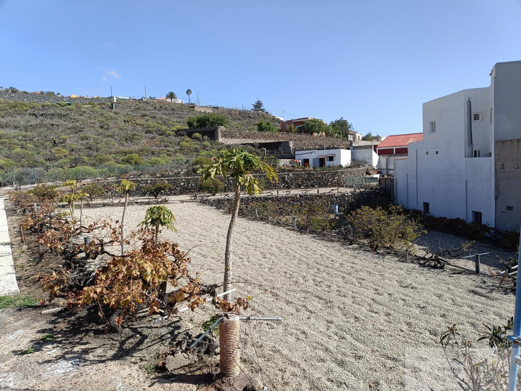 Venta de finca rústica en San Isidro de Abona