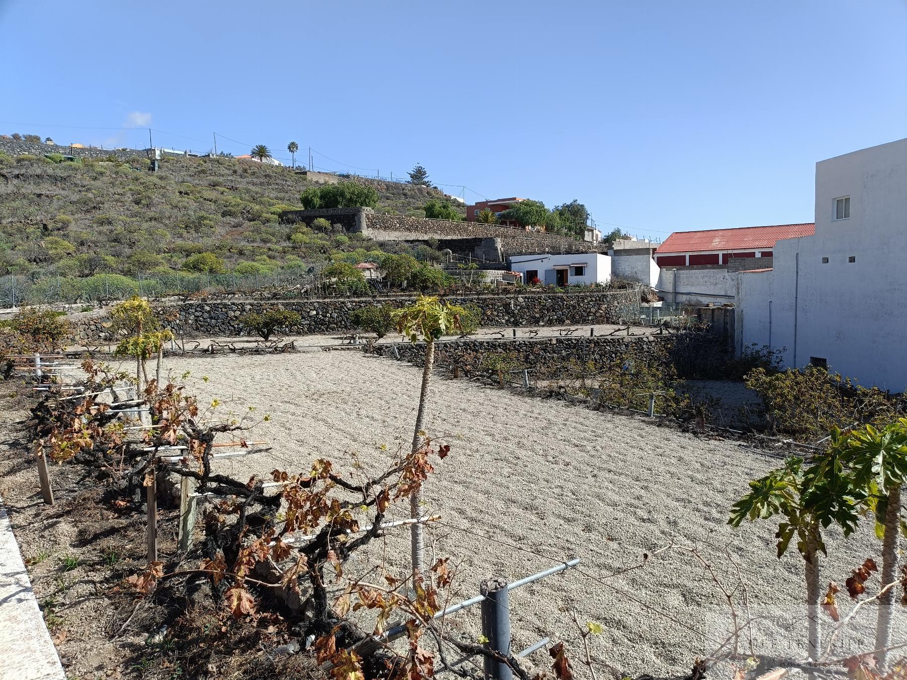 Venta de finca rústica en San Isidro de Abona
