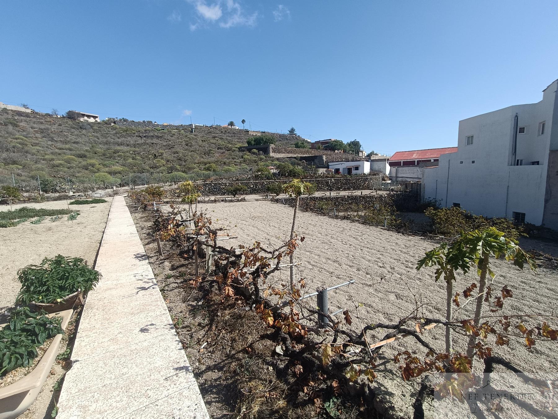 Venta de finca rústica en San Isidro de Abona