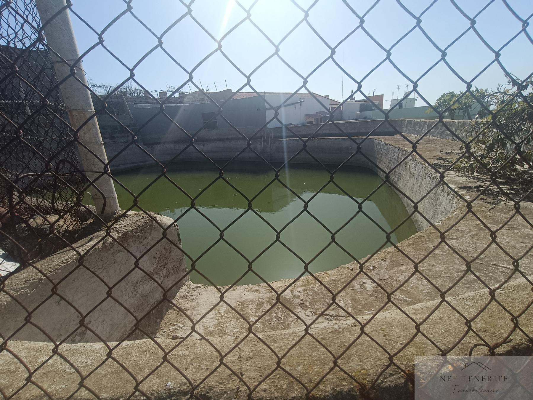 Venta de finca rústica en San Isidro de Abona